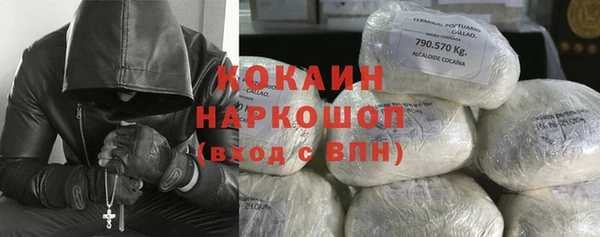 сатива Алзамай