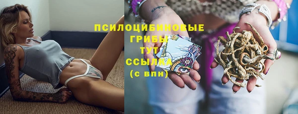 jwh Аркадак